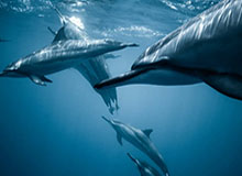 《银河战士Prime 4：超越》8条新手技巧：让你拥有ESP般绝佳开局